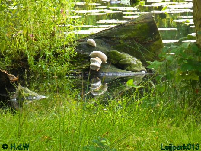 10 &amp; 11 &amp; 12 &amp; 13 augustus 2024