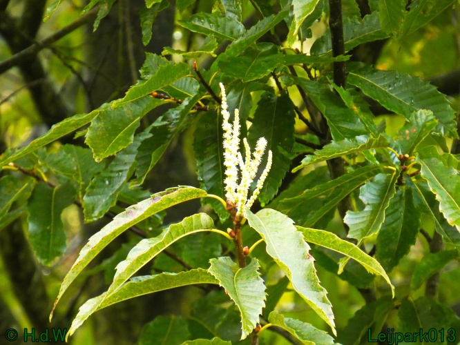 1 &amp; 2 &amp; 3 &amp; 4 oktober 2024