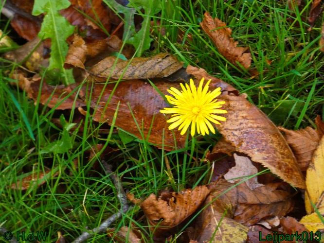 28 &amp; 29 &amp; 30 &amp; 31 oktober 2025