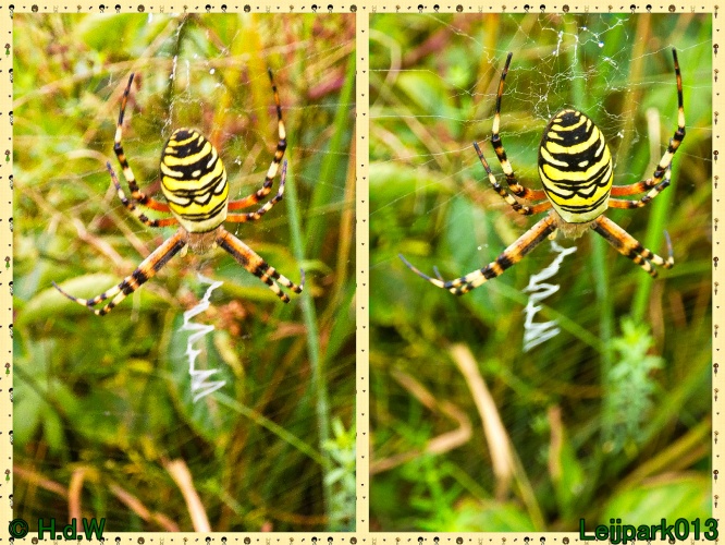 10 &amp; 11 &amp; 12 &amp; 13 augustus 2024