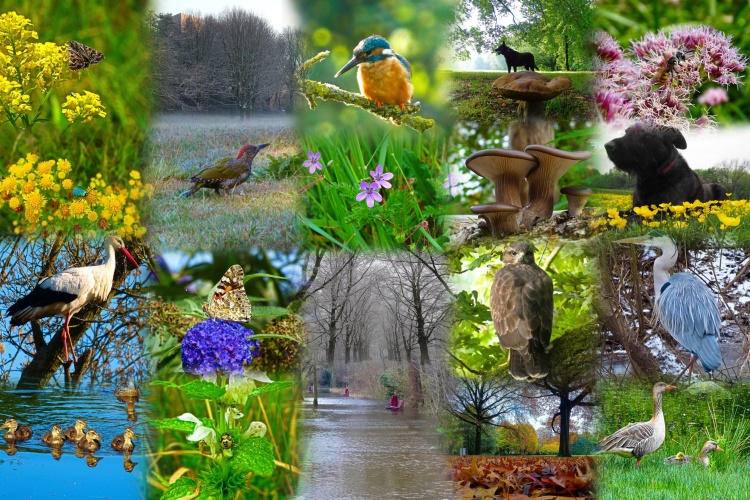 Uitnodeging foto expositie
