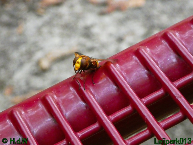 10 &amp; 11 &amp; 12 &amp; 13 augustus 2024