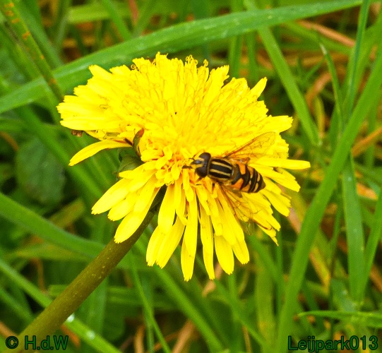 1 &amp; 2 &amp; 3 &amp; 4 oktober 2024