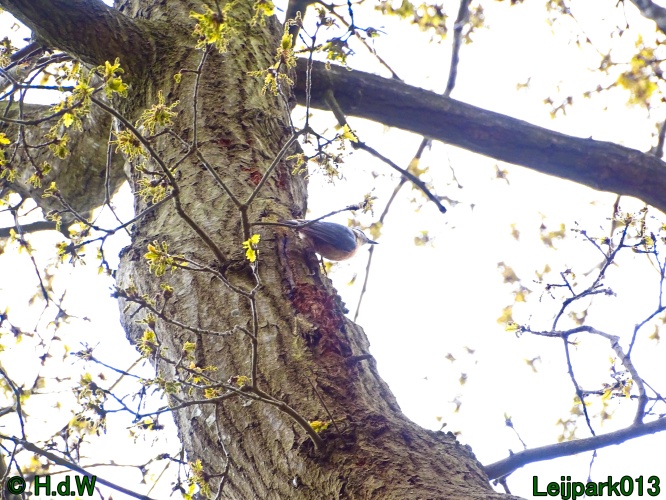 30 april 1 &amp; 2 &amp; 3 mei 2024