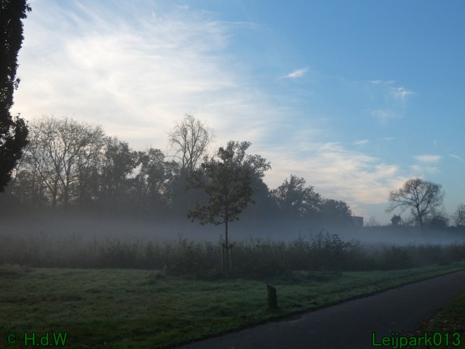3 november 2024 Vanmorgenwas er mist in het Leijpark