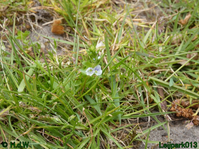 19 &amp; 20 &amp; 21 &amp; 22 maart 2025