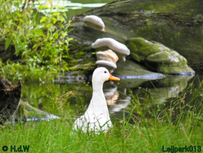 22 &amp; 23 &amp; 24 &amp; 25 augustus 2024