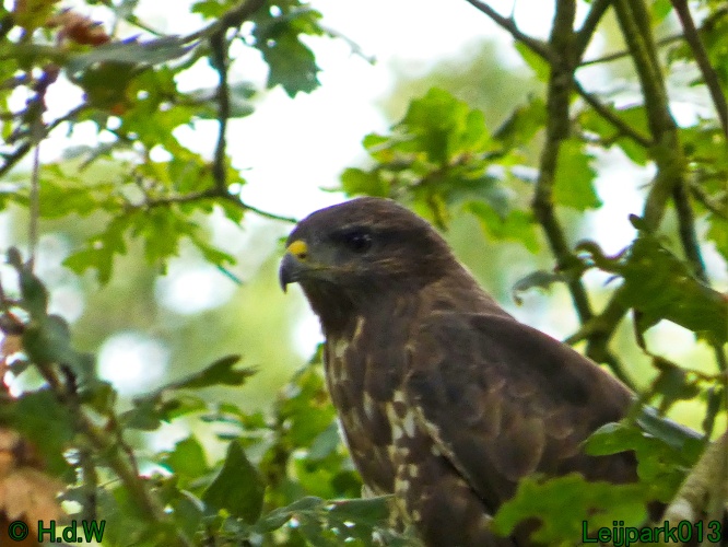 22 &amp; 23 &amp; 24 &amp; 25 augustus 2024