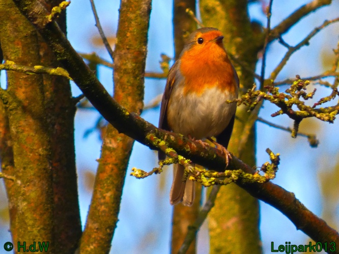 2 &amp; 3 &amp; 4 &amp; 5 November 2024