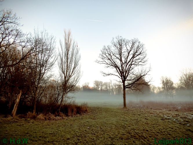 13 januari Mist en zon