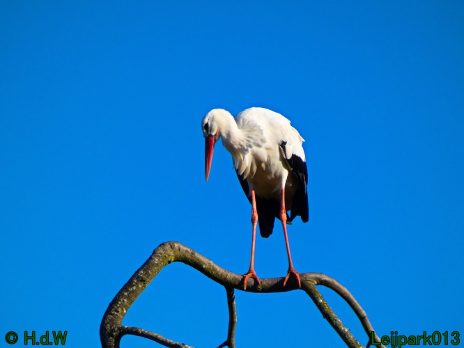 3 &amp; 4 &amp; 5 &amp; 6 april 2025