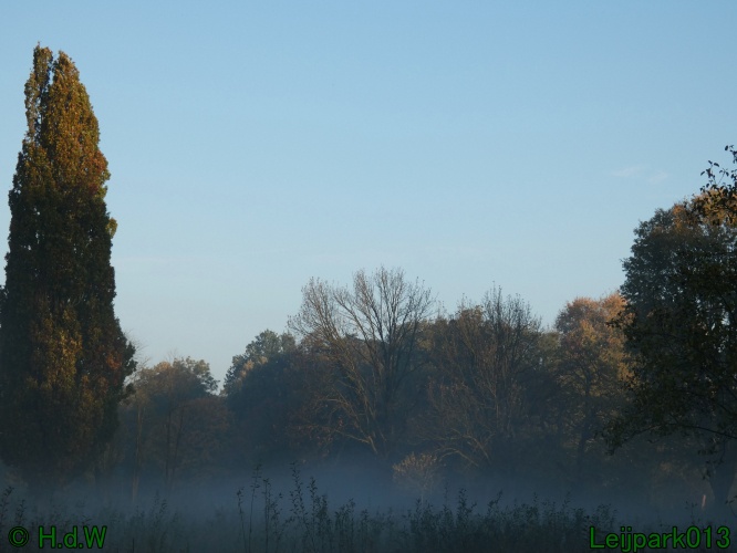 3 november 2024 Vanmorgenwas er mist in het Leijpark