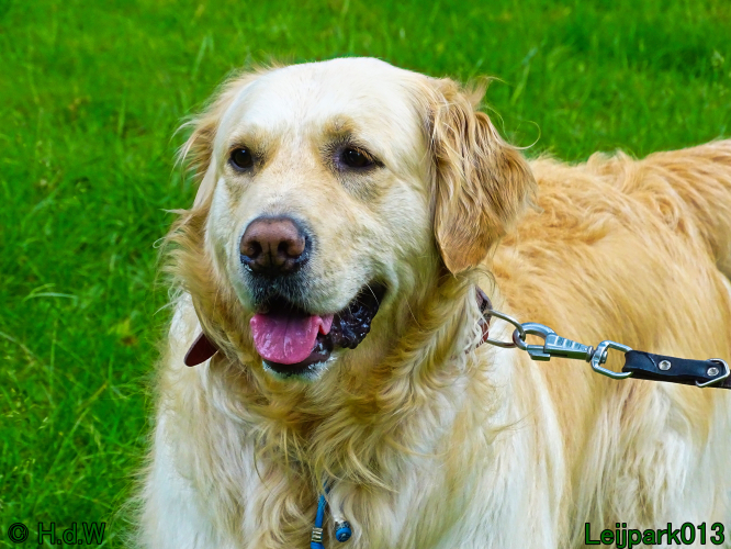 Beestenboel 7 juni 2024