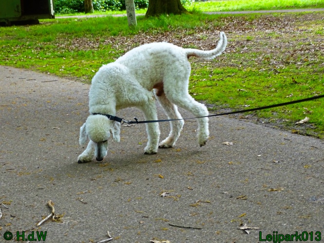 Beestenboel 12 mei 2024