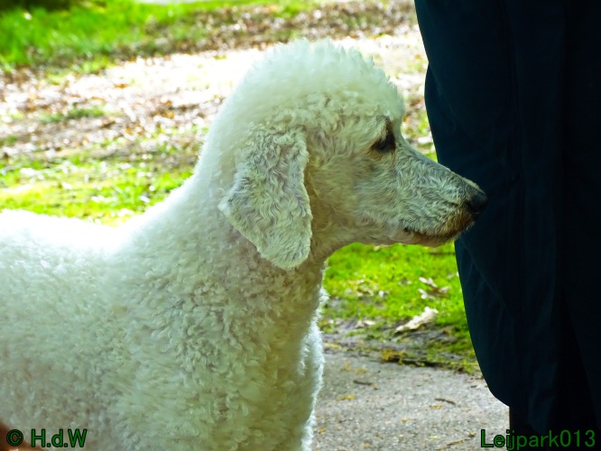 Beestenboel 12 mei 2024