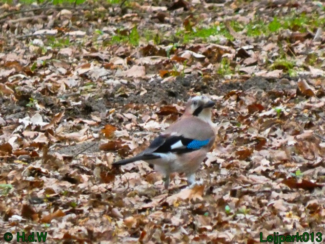 19 &amp; 20 &amp; 21 &amp; 22 maart 2025