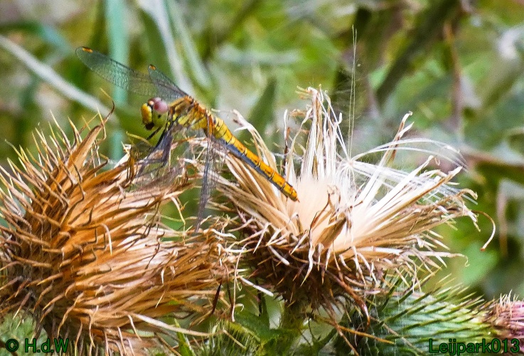 10 &amp; 11 &amp; 12 &amp; 13 augustus 2024