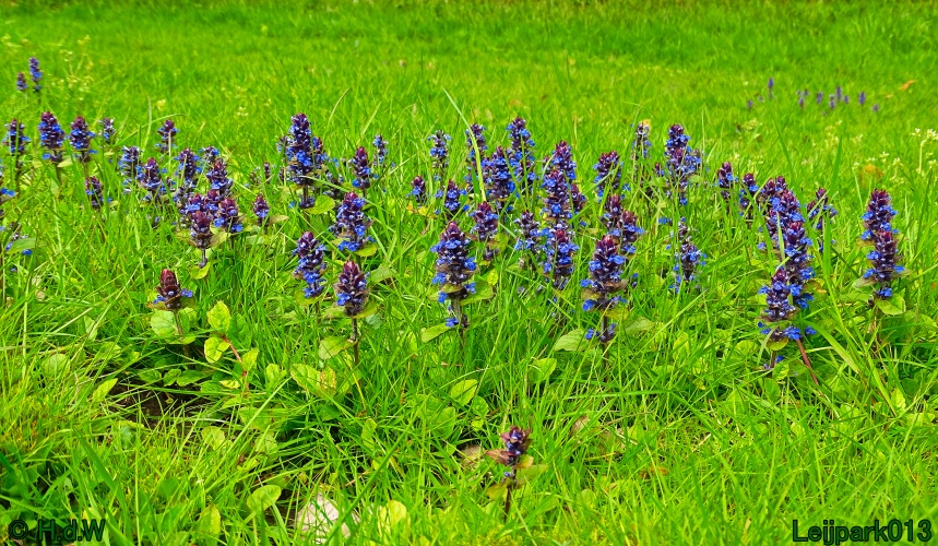 30 april 1 &amp; 2 &amp; 3 mei 2024