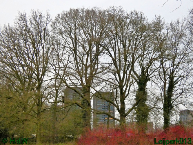 20 &amp; 21 &amp; 22 &amp; 23 december 2024