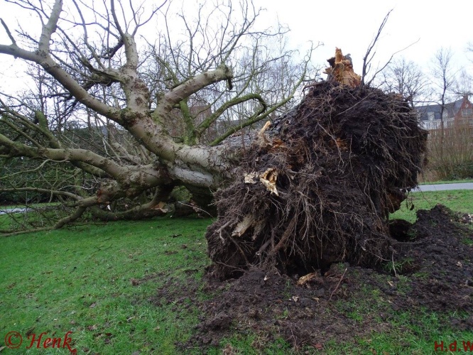 Storm terug in de tijd