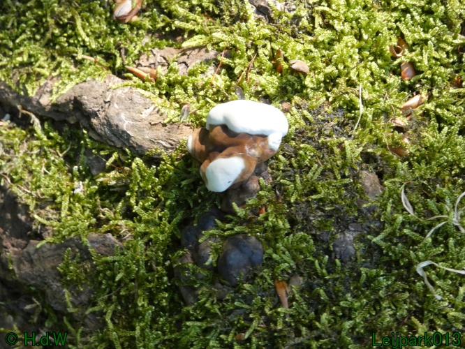 22 &amp; 23 &amp; 24 &amp; 25 augustus 2024