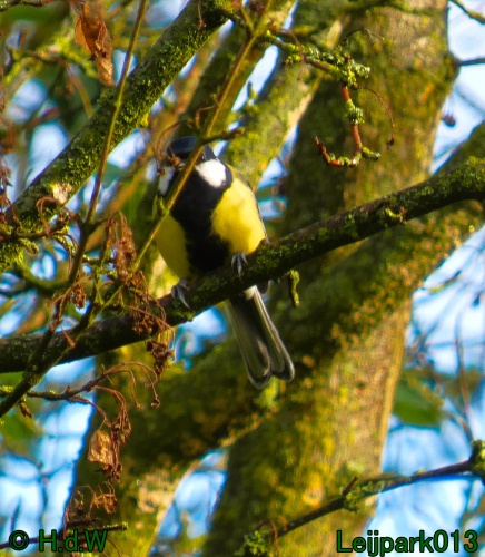 1 &amp; 2 &amp; 3 &amp; 4 oktober 2024