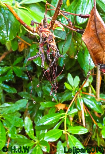 1 &amp; 2 &amp; 3 &amp; 4 oktober 2024