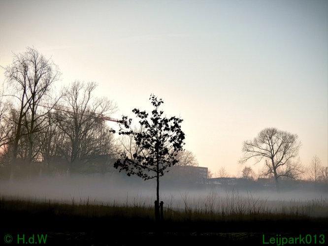 13 januari Mist en zon