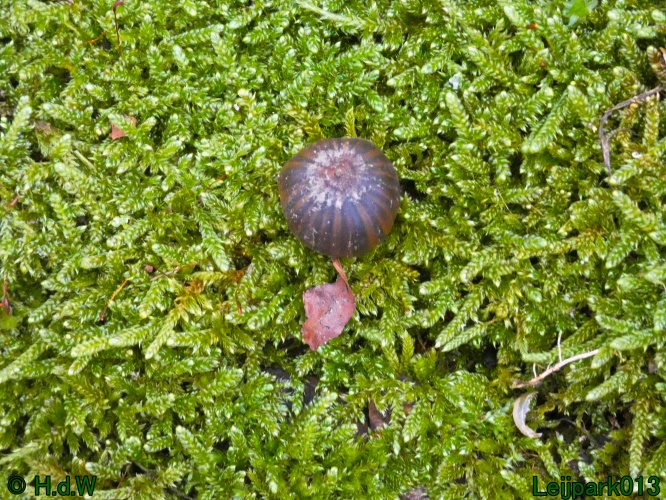 16 &amp; 17 &amp; 18 &amp; 19 december 2024