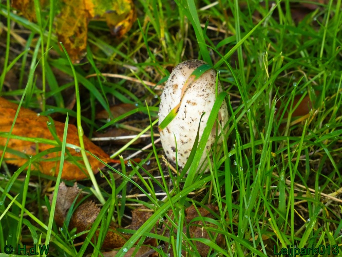 21 &amp; 22 &amp; 23 &amp; 24 oktober 2024