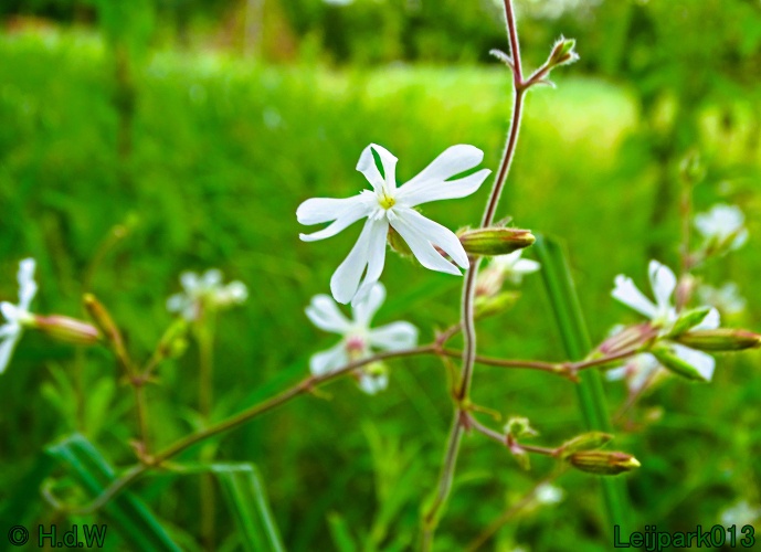 9 &amp; 10 &amp; 11 &amp; 12 juli 2024