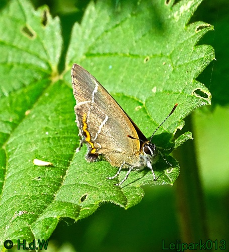 11 &amp; 12 &amp; 13 &amp; 14 juni 2024