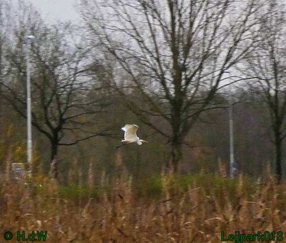 20 &amp; 21 &amp; 22 &amp; 23 december 2024