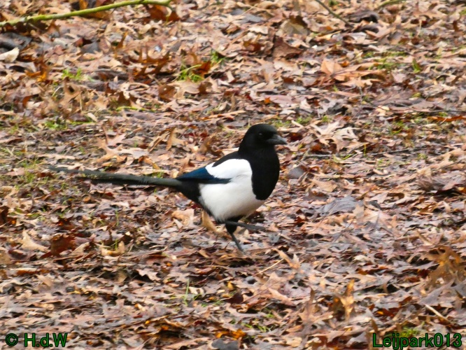 21 &amp; 22 &amp; 23 &amp; 24 januari 2025