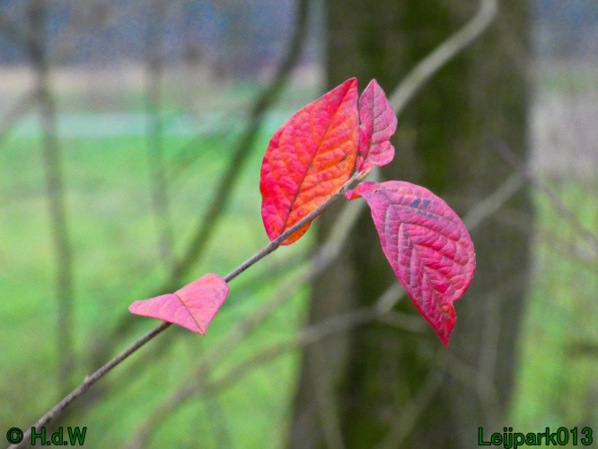 16 &amp; 17 &amp; 18 &amp; 19 december 2024