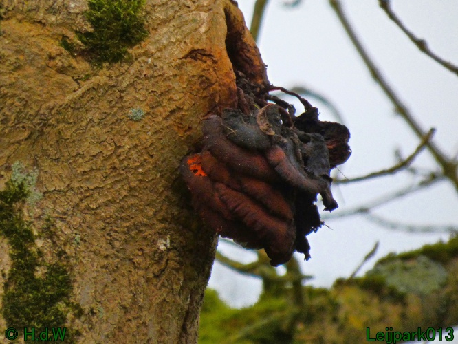 30 november &amp; 1 &amp; 2 &amp; 3 december 2024