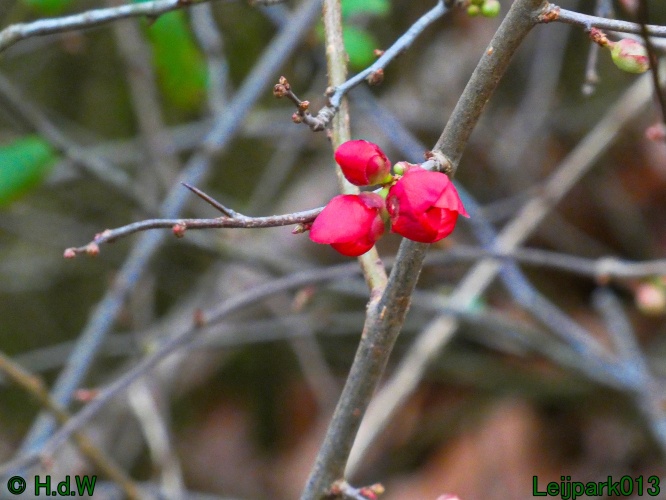 20 &amp; 21 &amp; 22 &amp; 23 december 2024