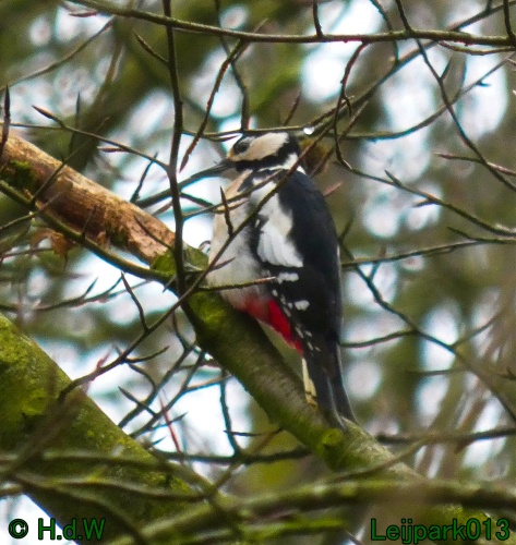 21 &amp; 22 &amp; 23 &amp; 24 januari 2025