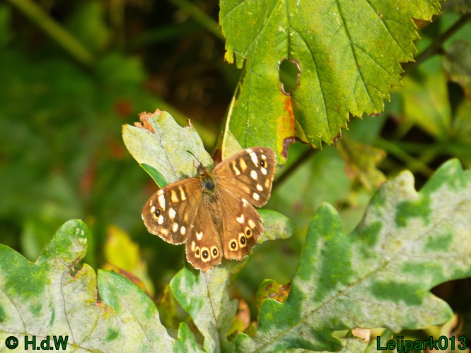 1 &amp; 2 &amp; 3 &amp; 4 oktober 2024