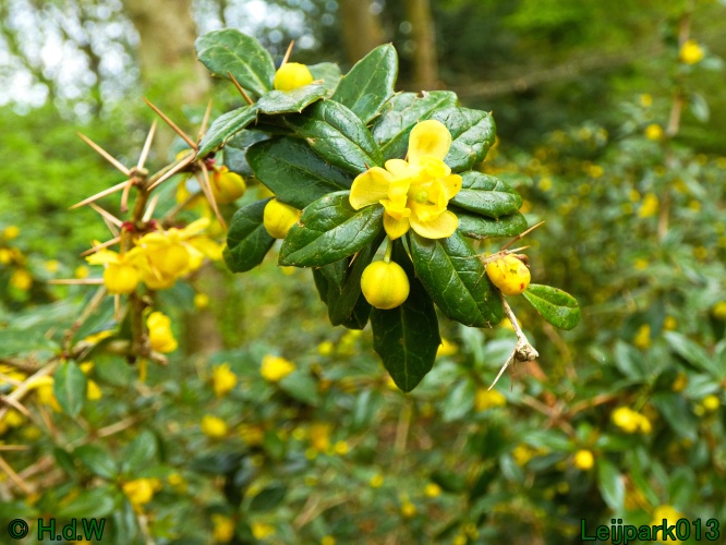 19 &amp; 20 &amp; 21 &amp; 22 maart 2025