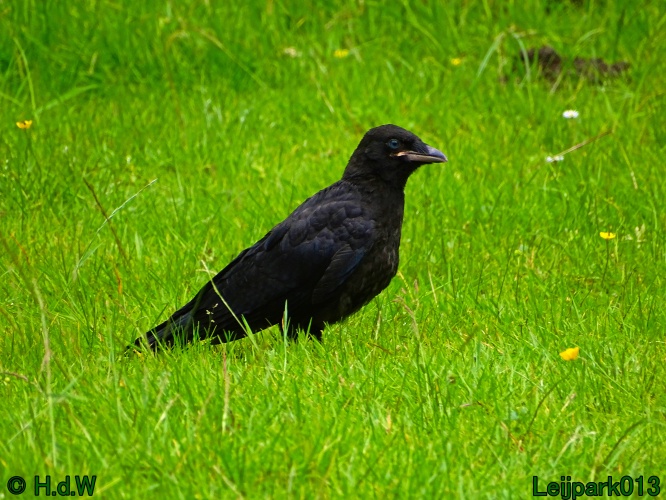 27 &amp; 28 &amp; 29 &amp; 30 juni 2024