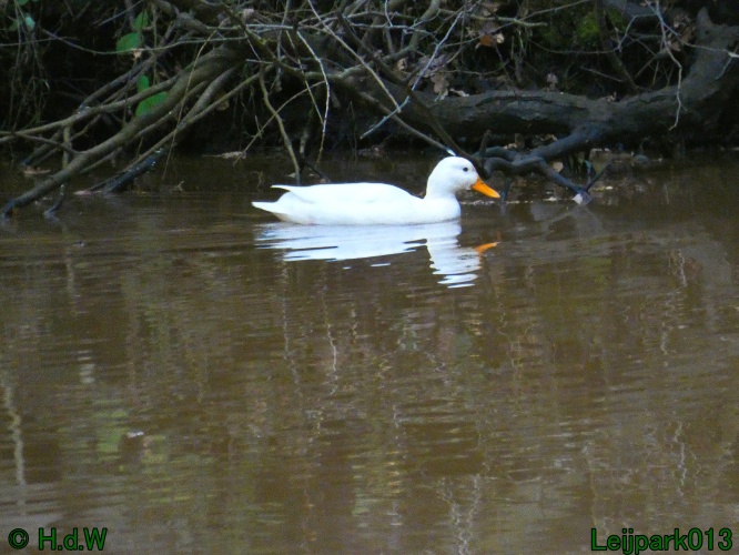 10 &amp; 11 &amp; 12 &amp; 13 november 2024