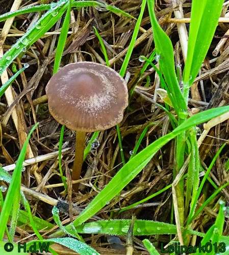 27 &amp; 28 &amp; 29 &amp; 30 juni 2024