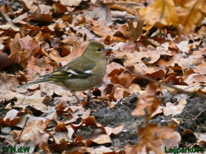 16 &amp; 17 &amp; 18 &amp; 19 december 2024