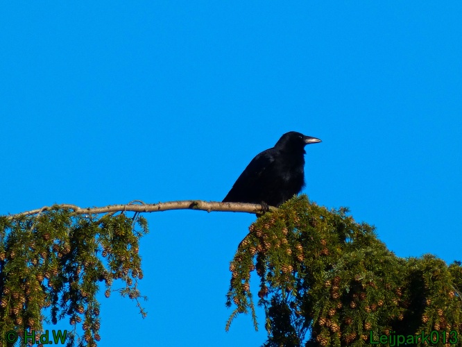 3 &amp; 4 &amp; 5 &amp; 6 april 2025