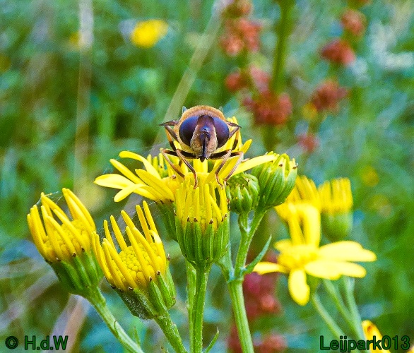 10 &amp; 11 &amp; 12 &amp; 13 augustus 2024