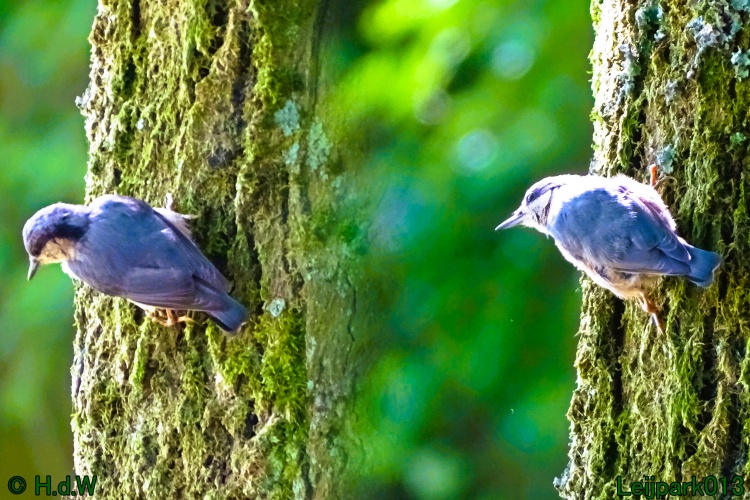 27 &amp; 28 &amp; 29 &amp; 30 juni 2024