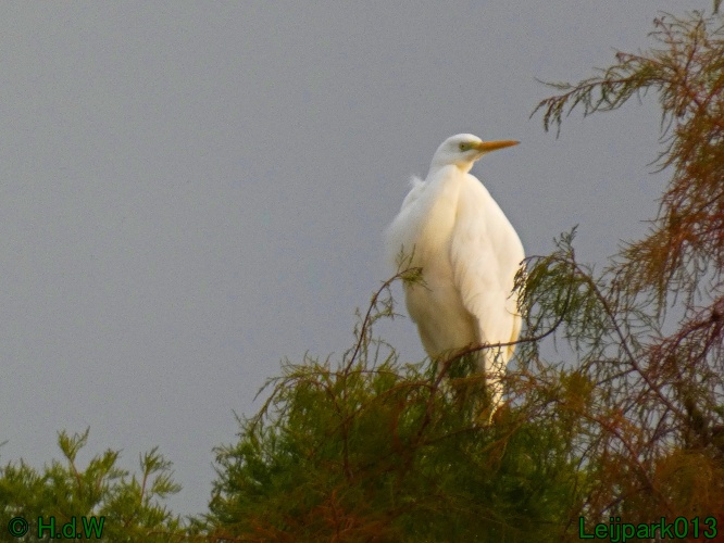 30 november &amp; 1 &amp; 2 &amp; 3 december 2024