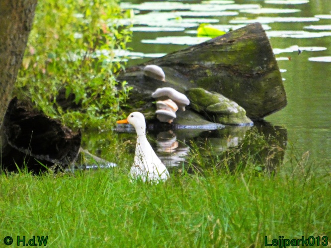 22 &amp; 23 &amp; 24 &amp; 25 augustus 2024