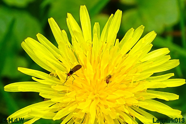 30 april 1 &amp; 2 &amp; 3 mei 2024